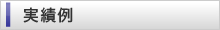 実績例