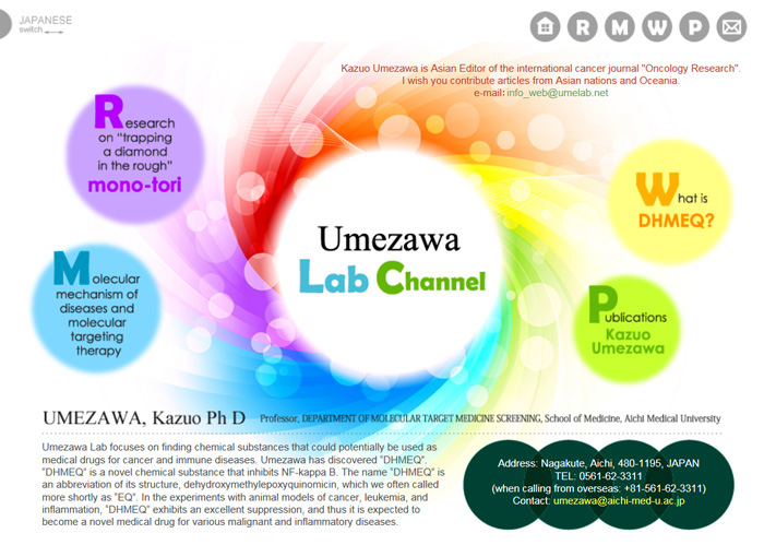 海外向けホームページ