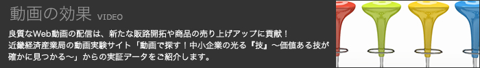 動画の効果